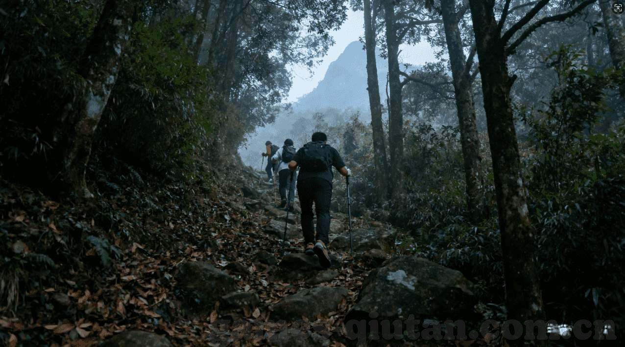澳门赌场是哪国保安-澳门赌场安全，多国保安力量携手维护秩序