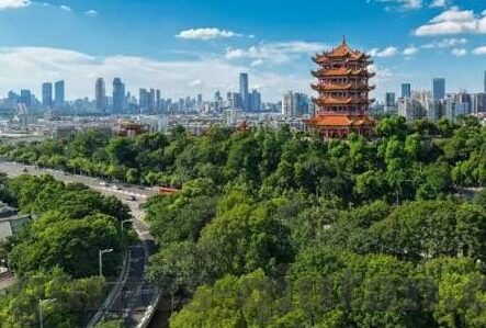 真人百家乐下载网址-真人百家乐下载网址，安全、便捷与娱乐的完美结合